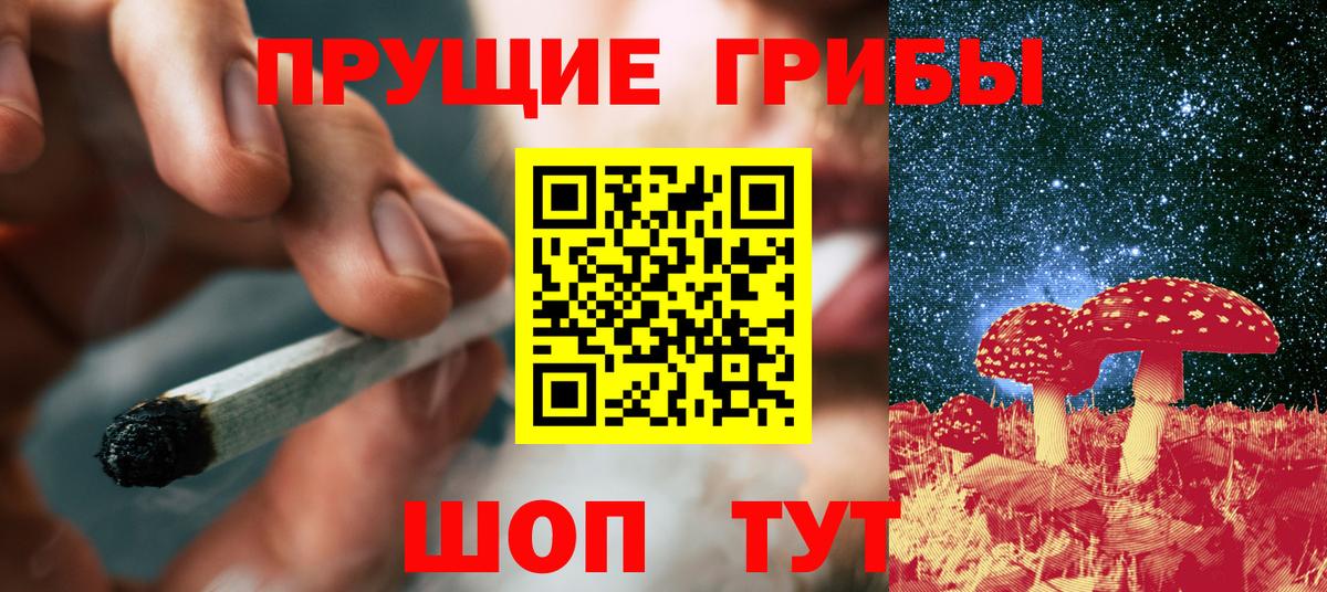 Псилоцибиновые грибы Psilocybine cubensis Котлас